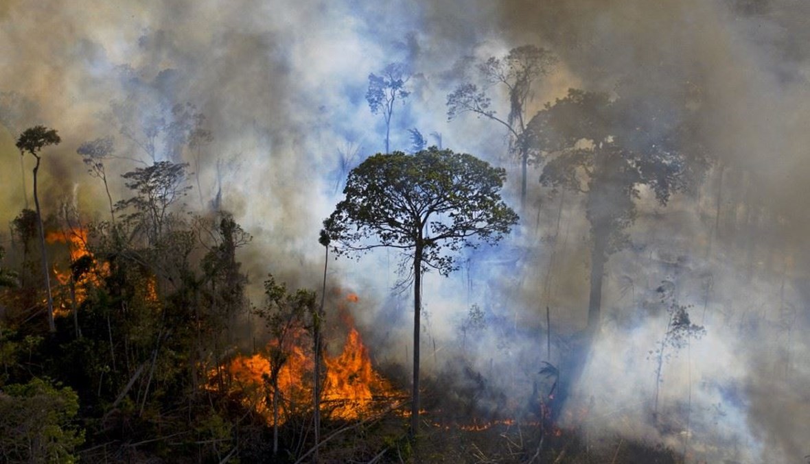 معدّل إزالة الغابات المطيرة في الأمازون يتراجع عن أعلى مستوى في 15 عاماً