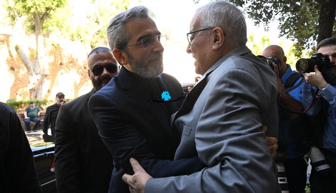 الزيارة الأولى لوزير الخارجية الإيراني بالإنابة إلى لبنان... لقاءات مع عدد من المسؤولين (صور)